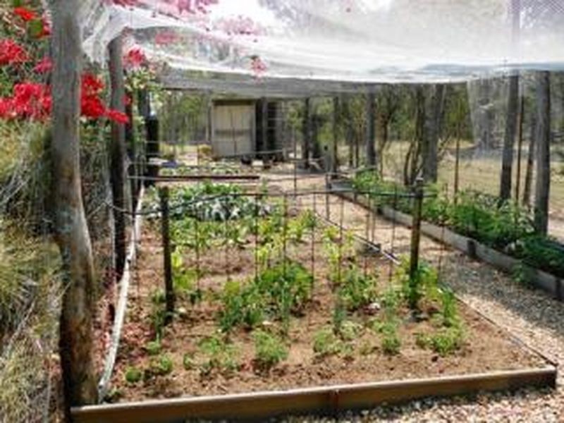 21 Silkwood Court, Glenore Grove QLD 4342