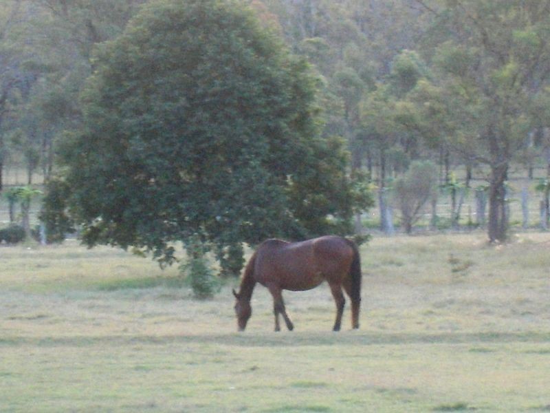 40 Karina Street, Placid Hills QLD 4343