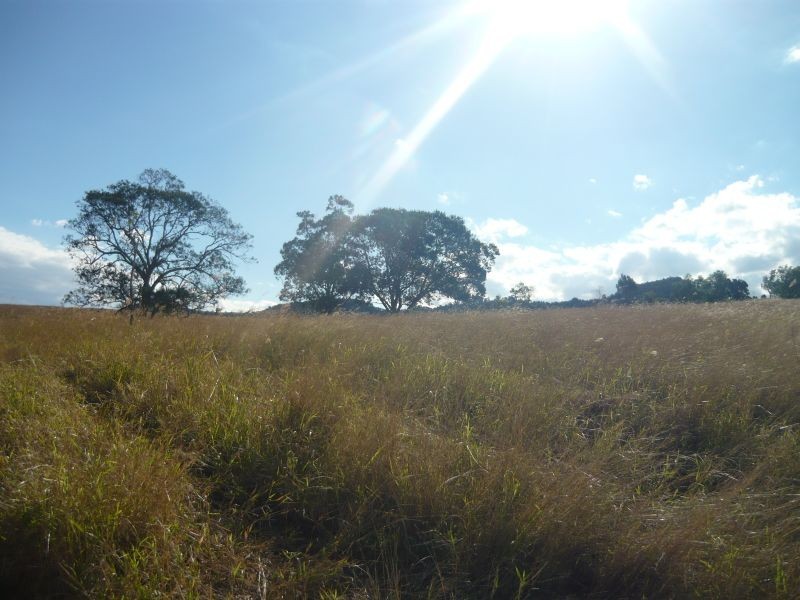 174 Ma Ma Lilydale Road, Ma Ma Creek QLD 4347