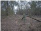 L13 Krugers Road  SPRING CREEK, Gatton QLD 4343