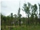 74 Lakes Drive, Laidley Heights QLD 4341