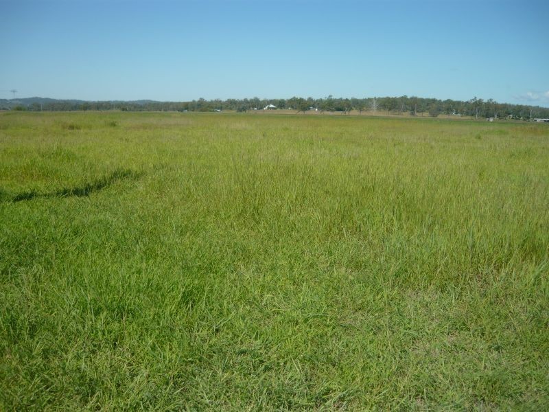 Lot 55 Friedrich Avenue, Forest Hill QLD 4342
