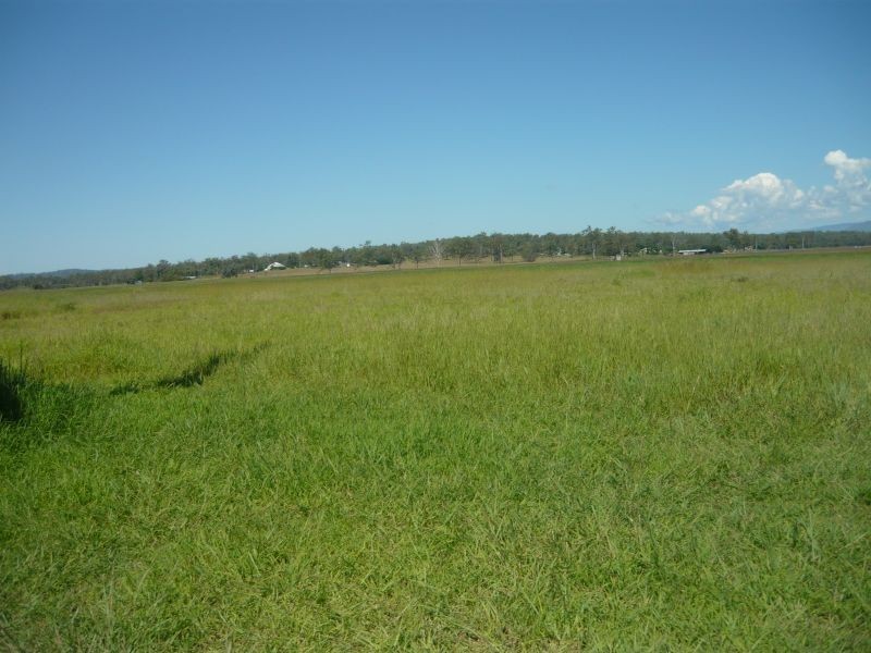 Lot 55 Friedrich Avenue, Forest Hill QLD 4342