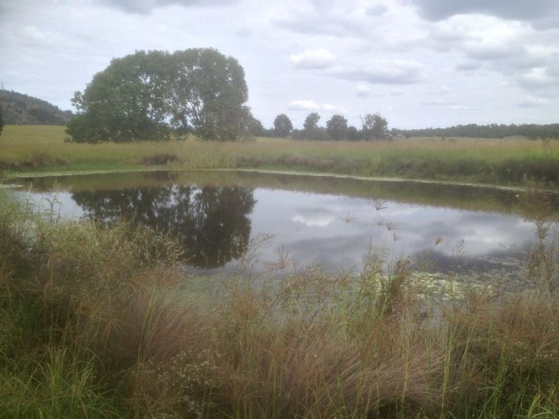 17 Gutt Road, Regency Downs QLD 4341