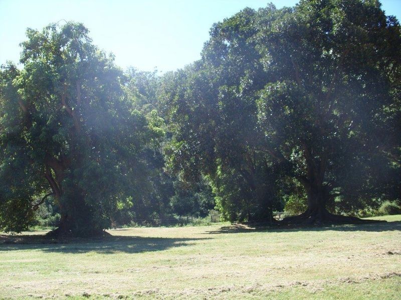 819 Left Hand Branch Road, Gatton QLD 4343