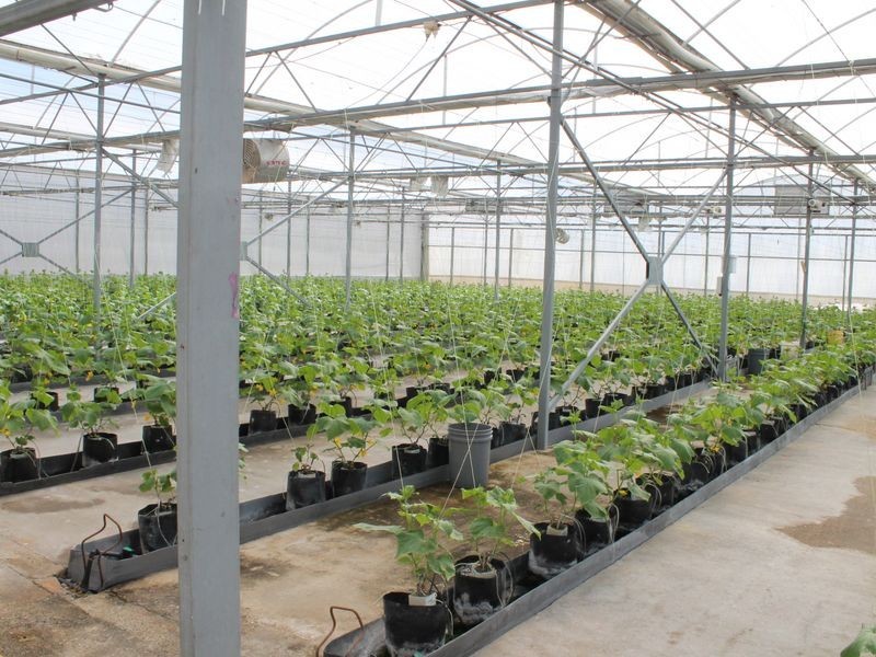 2684 Gatton-Esk Road, Mount Hallen QLD 4312