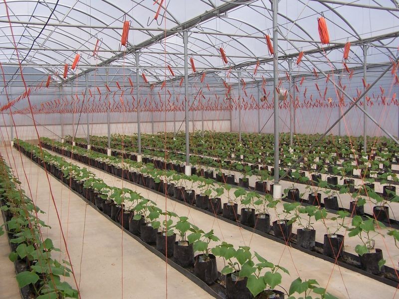 2684 Gatton-Esk Road, Mount Hallen QLD 4312