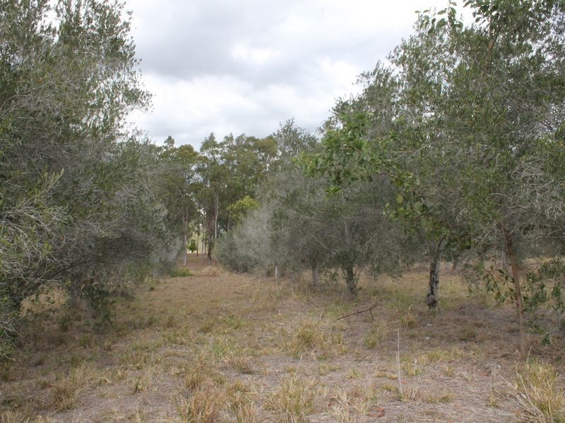 2684 Gatton-Esk Road, Mount Hallen QLD 4312