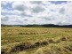 Cunningham Park Estate, Laidley QLD 4341