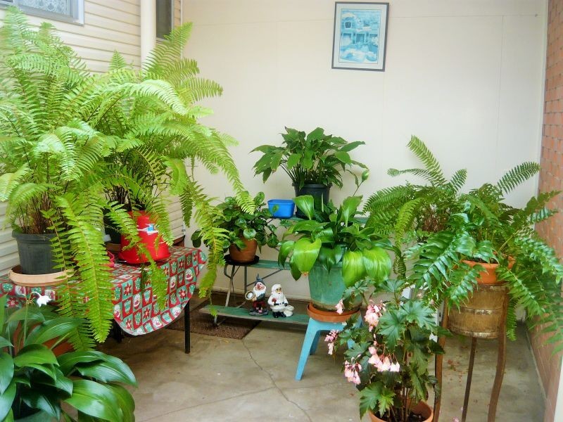 42 Allan Street, Gatton QLD 4343