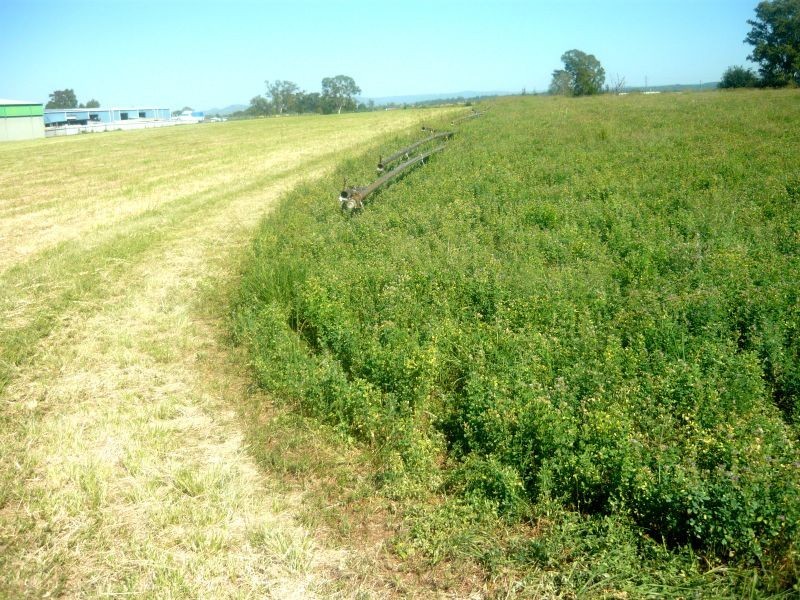 157 Railway Street, Gatton QLD 4343