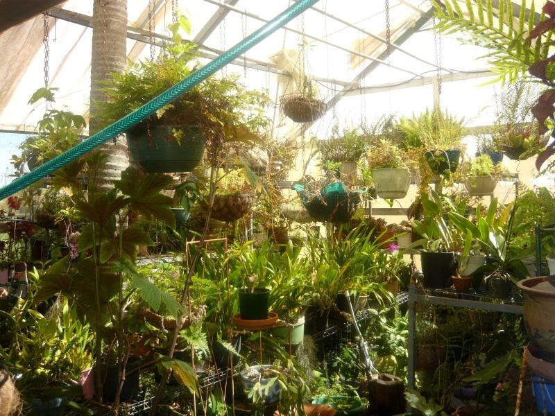 157 Railway Street, Gatton QLD 4343