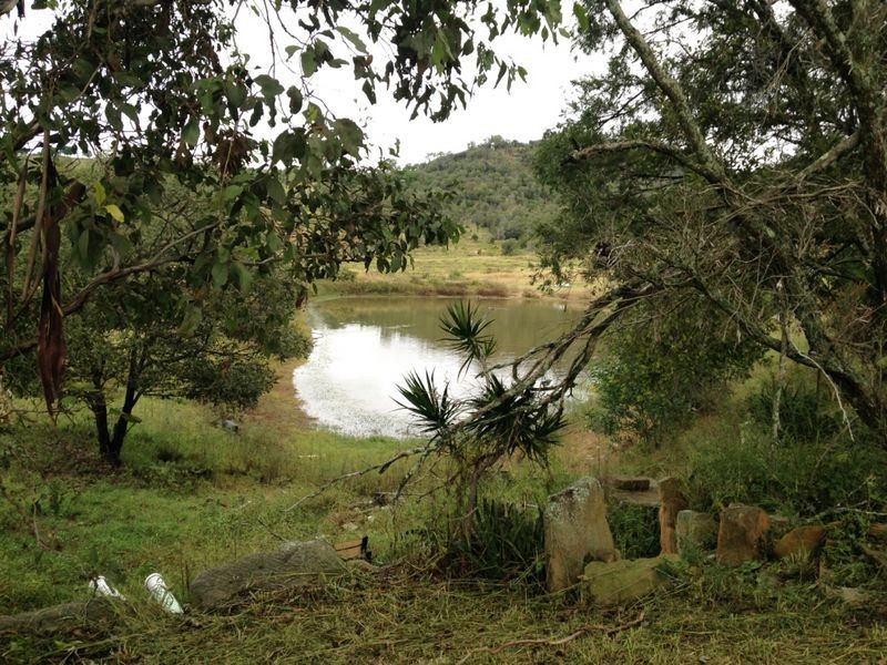 15 Coleman Road, Mulgowie QLD 4341