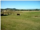 94 Rosenberg Rd, Ma Ma Creek QLD 4347