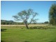 94 Rosenberg Rd, Ma Ma Creek QLD 4347
