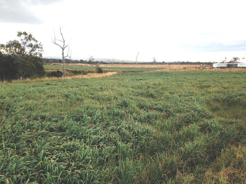 14 Jordan’s Weir Road, Adare QLD 4343