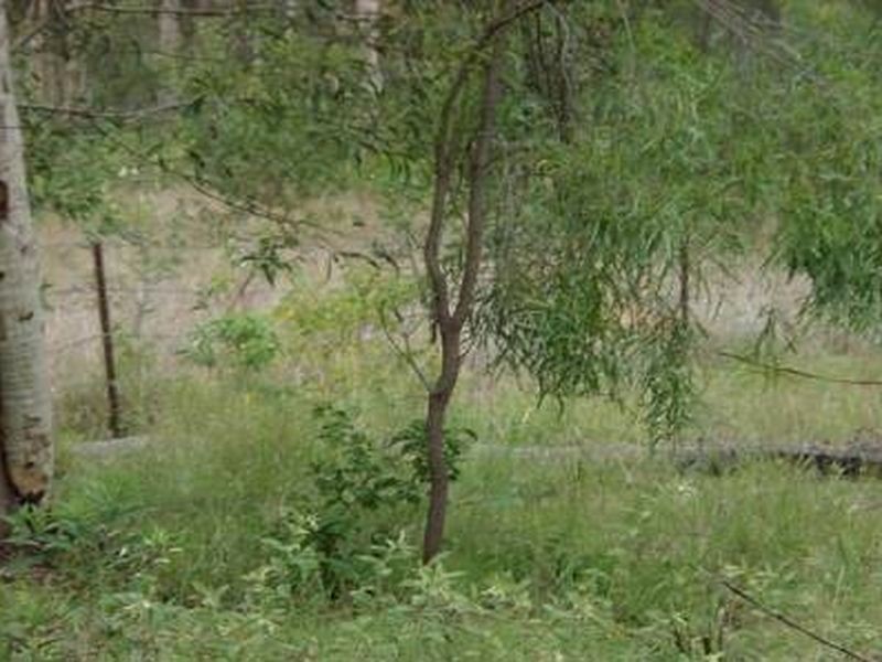 125 Peta Drive, Churchable QLD 4311