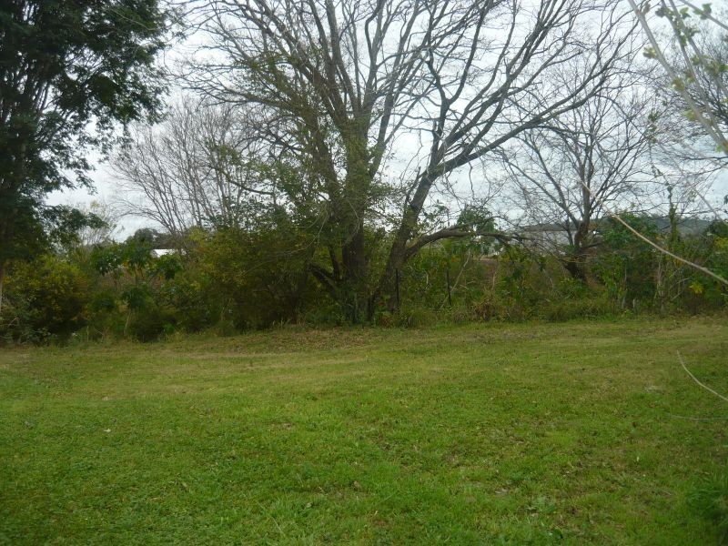 6 William Street, Grantham QLD 4347