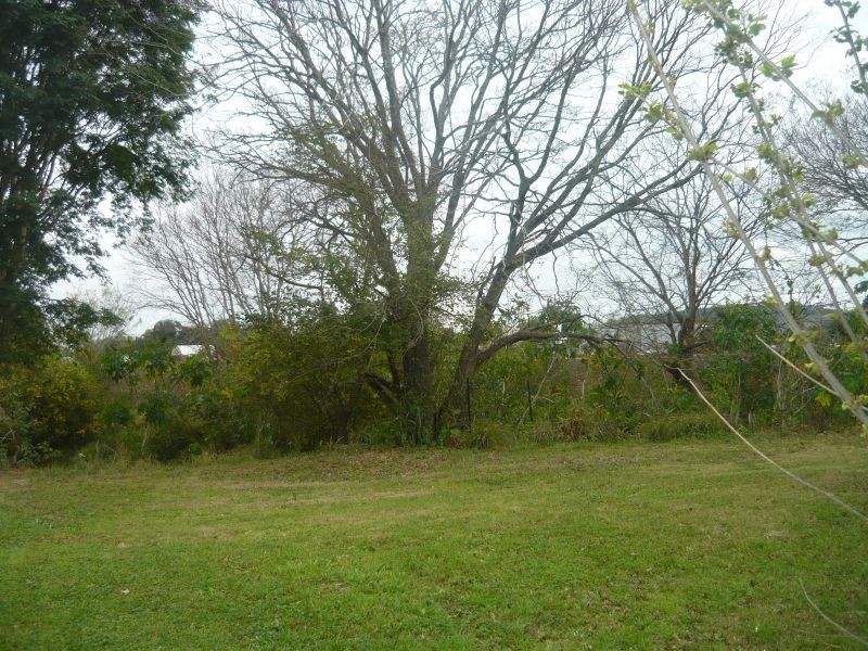 6 William Street, Grantham QLD 4347