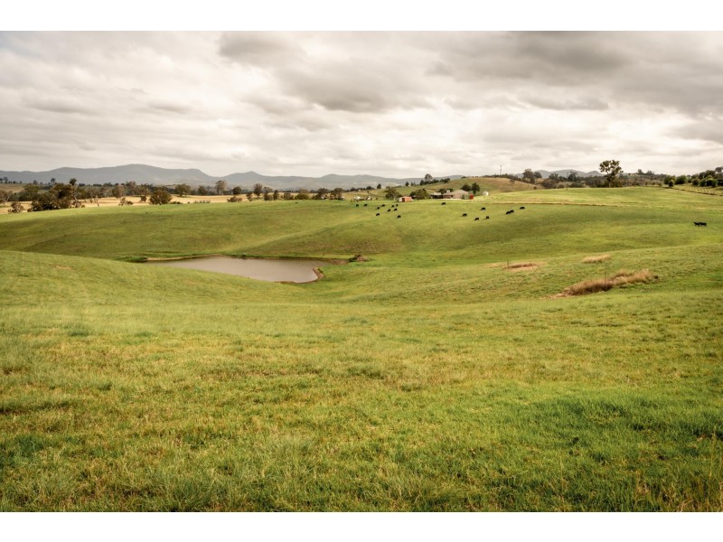 290 Kemps Lane, Candelo NSW 2550