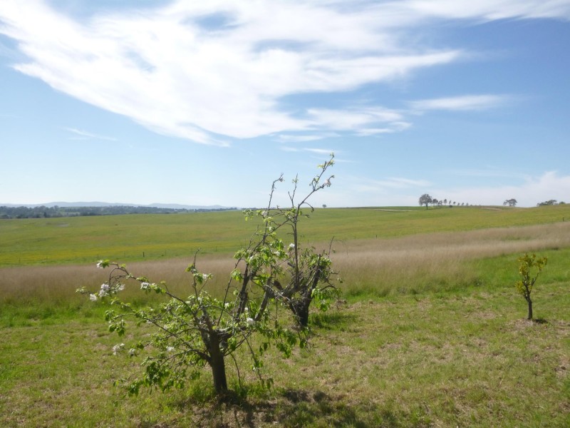 20 Avondale Lane, Candelo NSW 2550