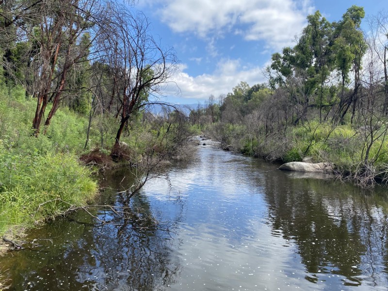3 & 5 Geraghty Street, Bemboka NSW 2550