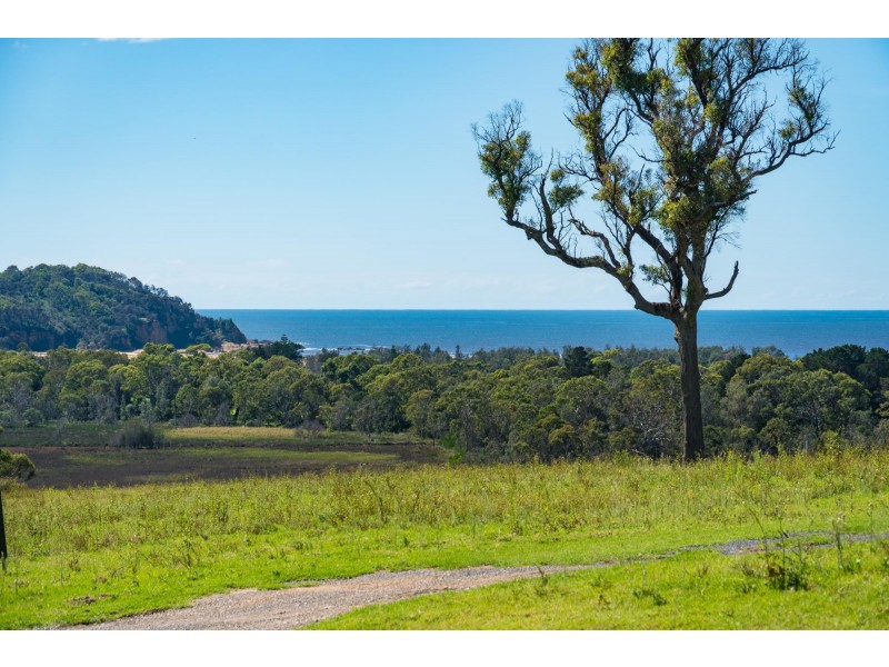 8 Wheeler Avenue, Tathra NSW 2550