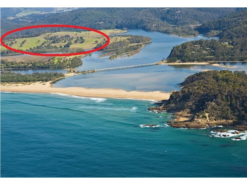 8 Wheeler Avenue, Tathra NSW 2550