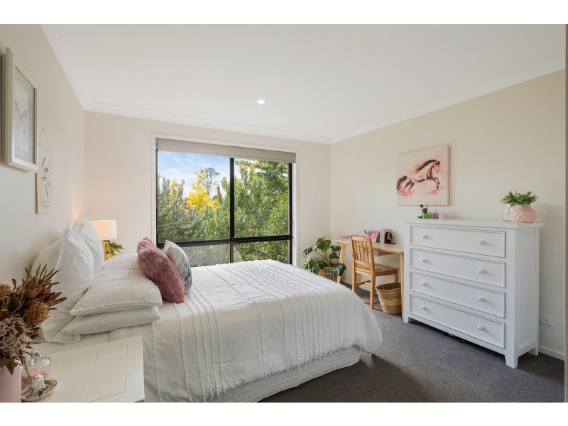 1333 Tathra Road,, Bega NSW 2550