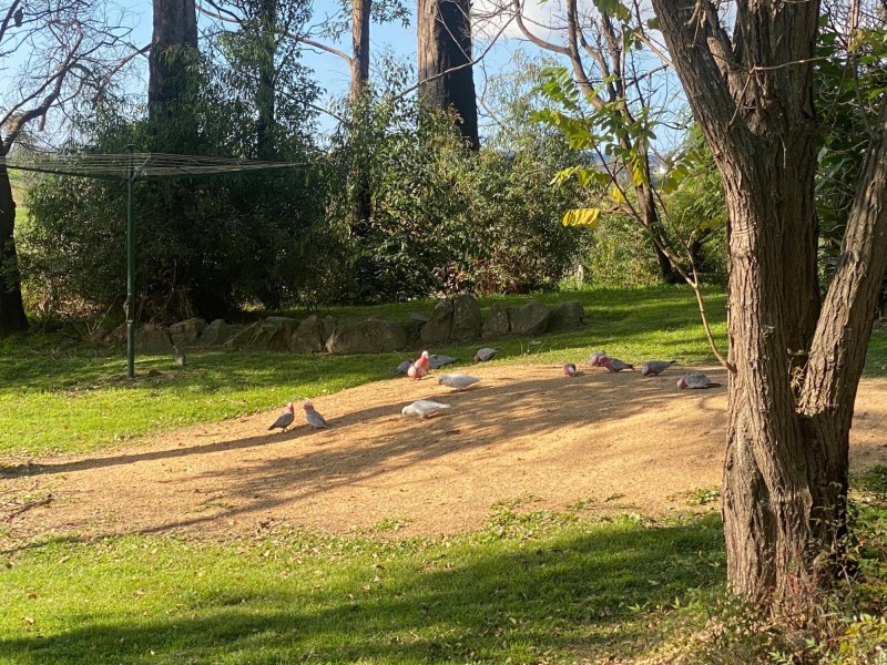 79 Bent Street, Quaama NSW 2550