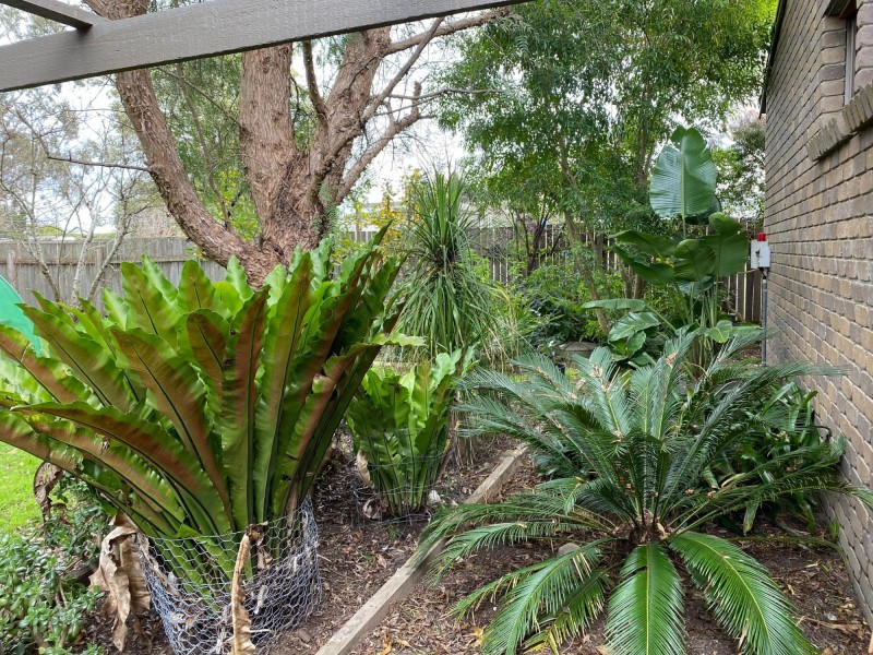 497 Tathra Road, Kalaru NSW 2550