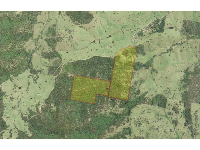 271 County Boundary Road, Cobargo NSW 2550