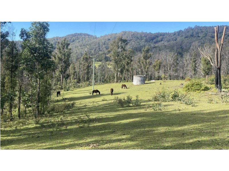81 Brittens Road, Tantawangalo NSW 2550