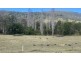 81 Brittens Road, Tantawangalo NSW 2550