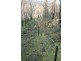 81 Brittens Road, Tantawangalo NSW 2550