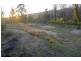 81 Brittens Road, Tantawangalo NSW 2550