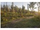 81 Brittens Road, Tantawangalo NSW 2550