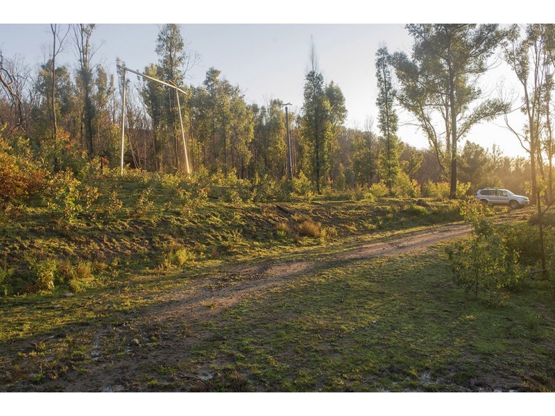 81 Brittens Road, Tantawangalo NSW 2550