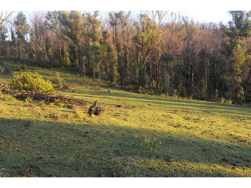 81 Brittens Road, Tantawangalo NSW 2550