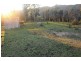 81 Brittens Road, Tantawangalo NSW 2550