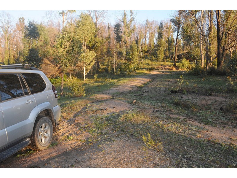 81 Brittens Road, Tantawangalo NSW 2550