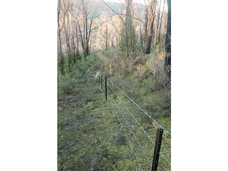 81 Brittens Road, Tantawangalo NSW 2550