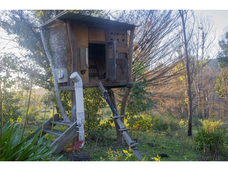 81 Brittens Road, Tantawangalo NSW 2550