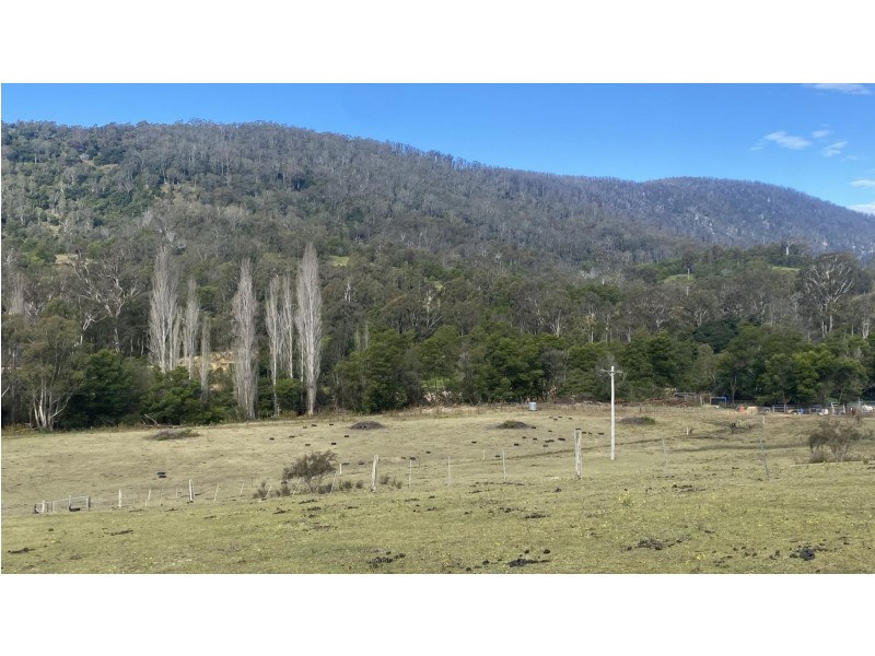 81 Brittens Road, Tantawangalo NSW 2550