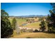 48 Springfield Road, Kameruka NSW 2550
