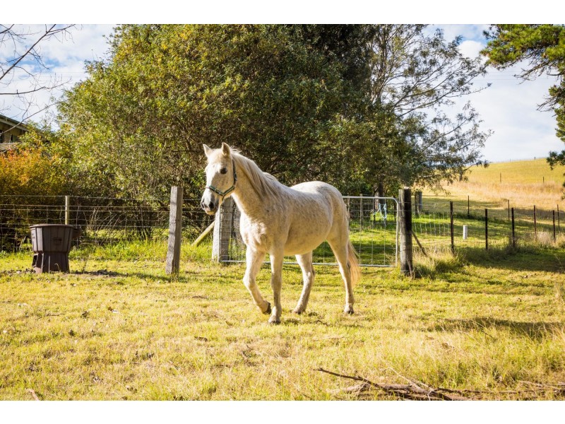 48 Springfield Road, Kameruka NSW 2550