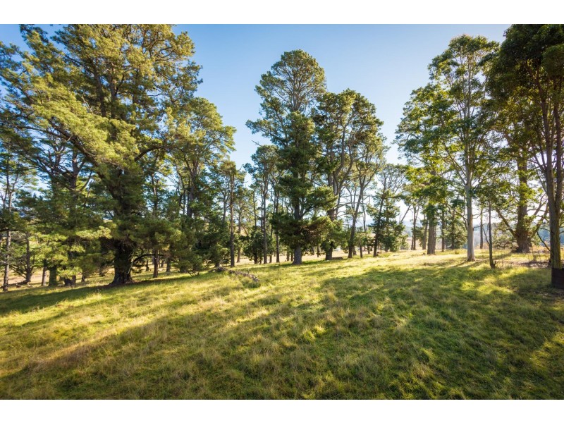 48 Springfield Road, Kameruka NSW 2550