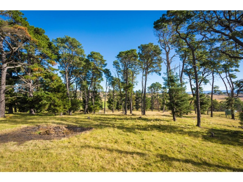 48 Springfield Road, Kameruka NSW 2550