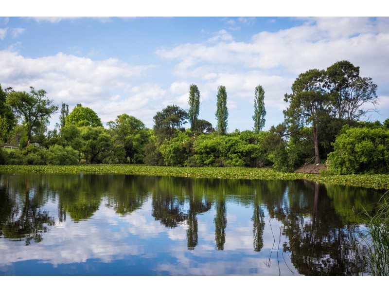 Lot 21 Littlewood Estate, Bega NSW 2550