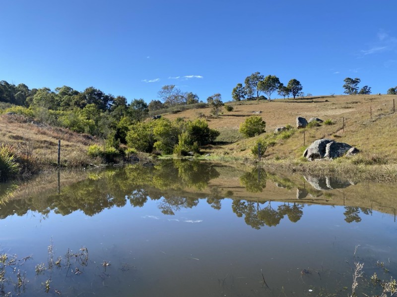 681 Princes Highway, Black Range NSW 2550